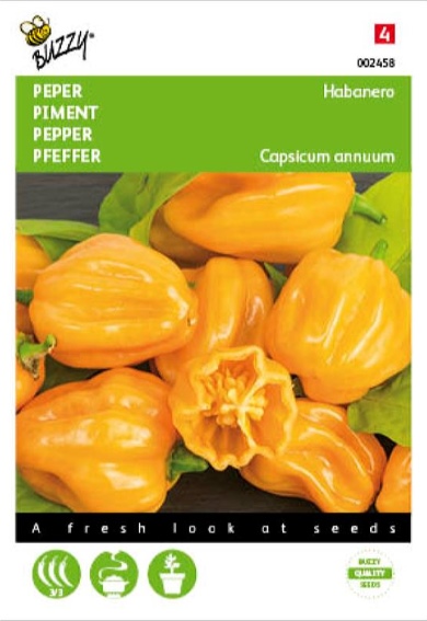 Habanero Peper Oranje (Capsicum chinense) 10 zaden BU